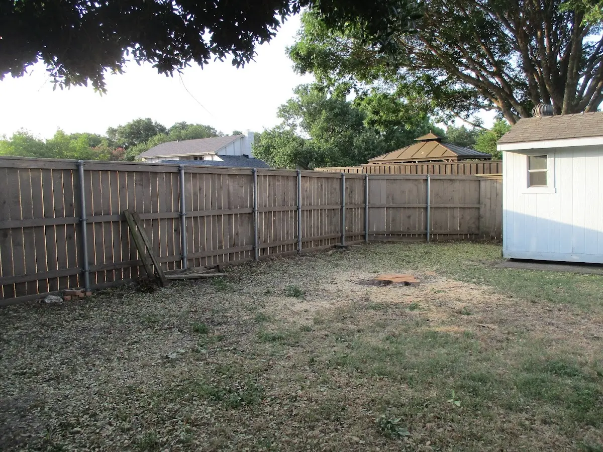 Cleared yard after professional tree removal in Van Orin